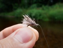 Retirer Sedge incantation - Go and Fish!