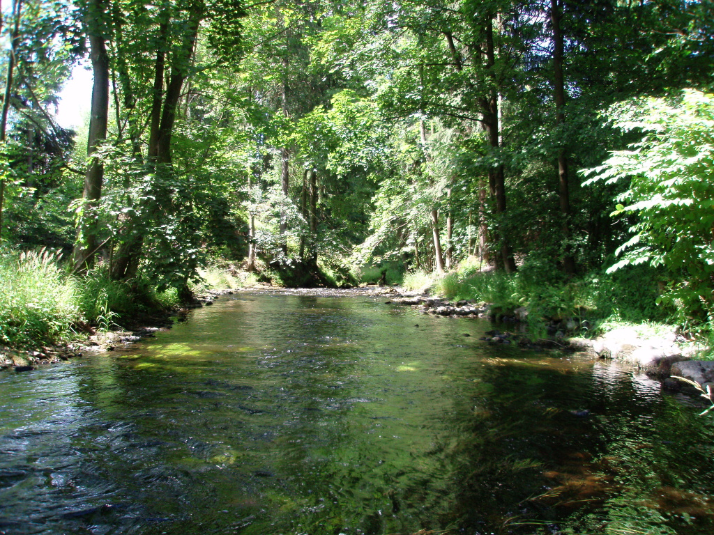 River wild - Look for a good place downstream.