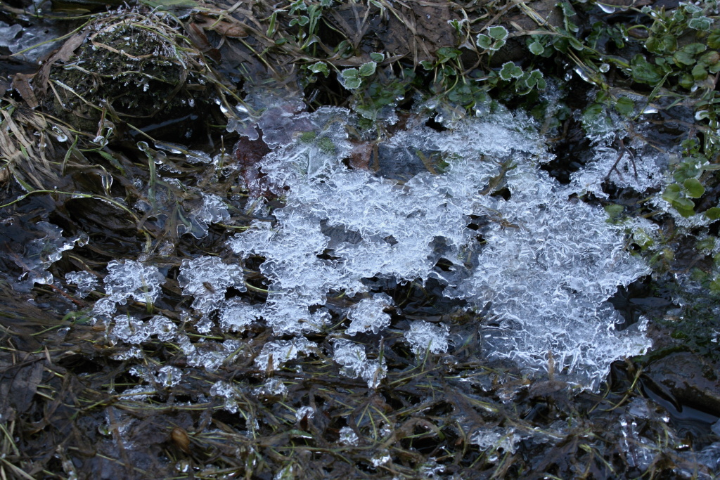 Incredible icy drawings.