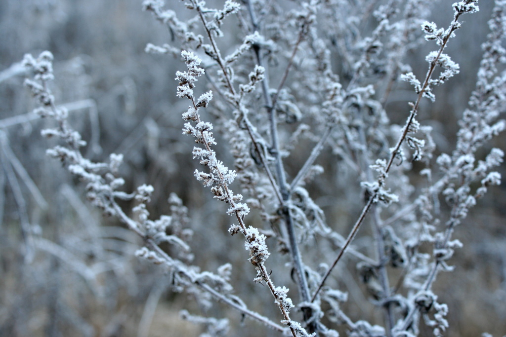 Mighty nature and other artwork.