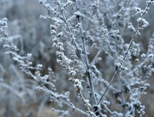 Mighty nature and other artwork.