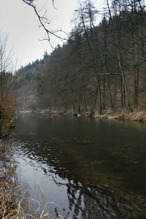 Nice view of the river.