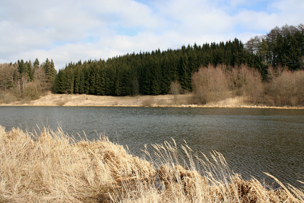 Scene - Small trout still waters are absolutely ideal to start of early spring season.