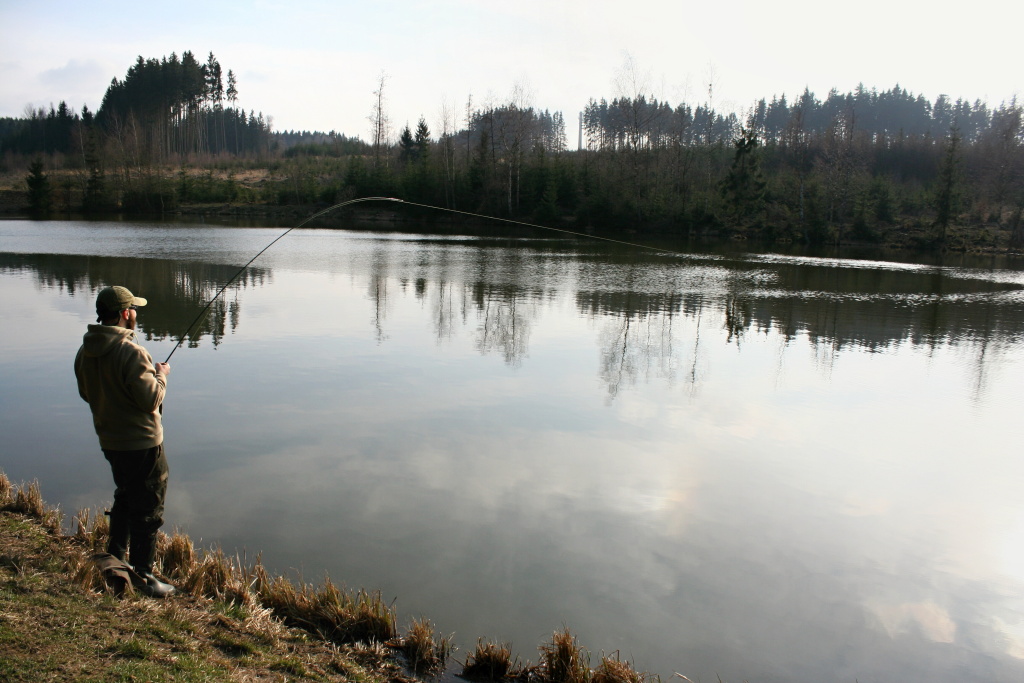 Monster on the run! Big carp, grass carp, Asian carp? :-)