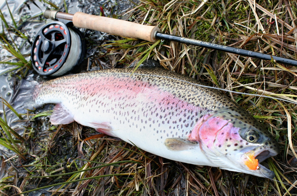 Blob time! Psychadelic and great spring pattern for inexperienced stock rainbow.