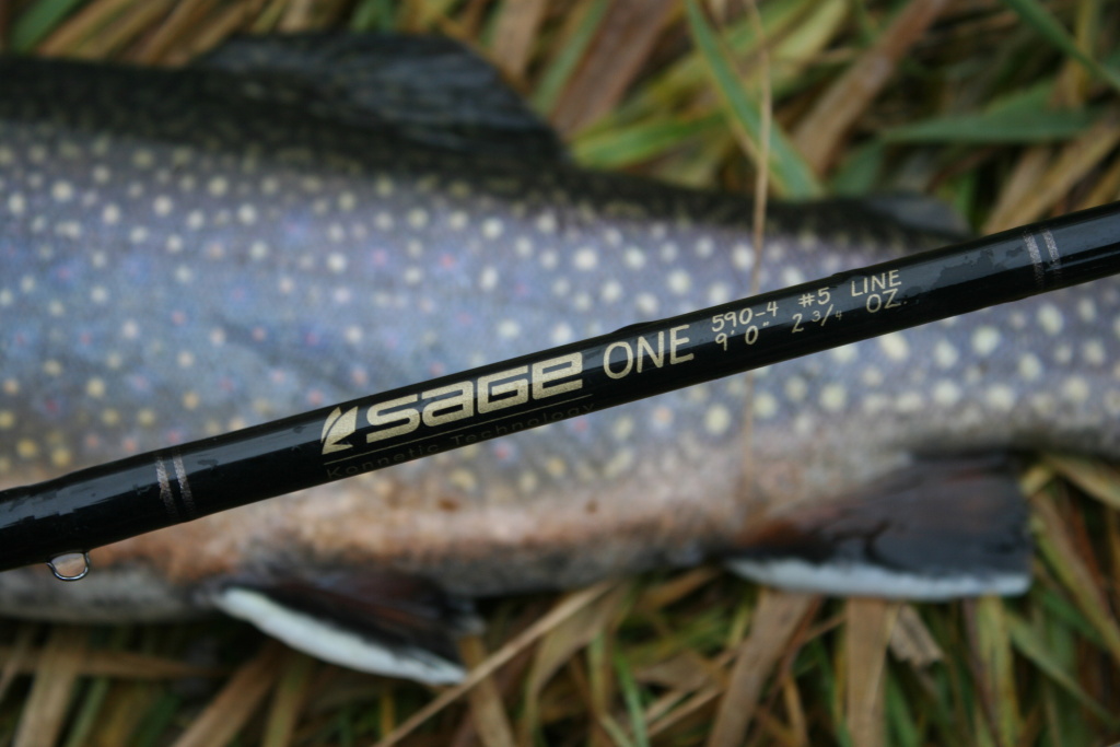 5 or 6wt fly rod is fully sufficient in case of good conditions without headwind.