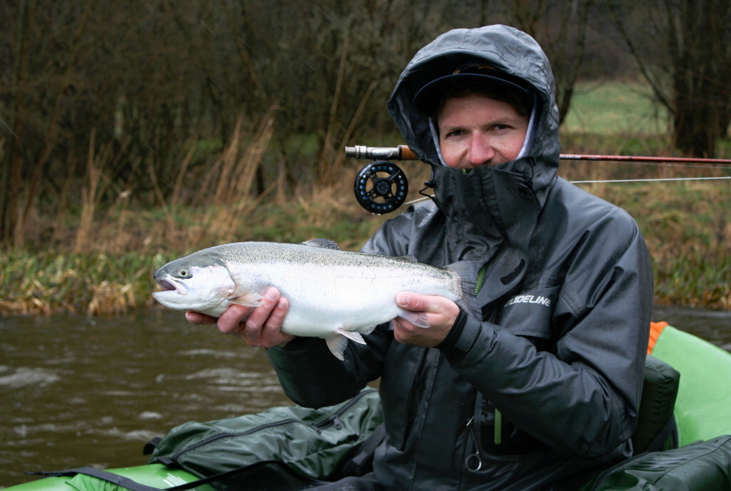 Another very nice fully silver rainbow trout caught by my friend.