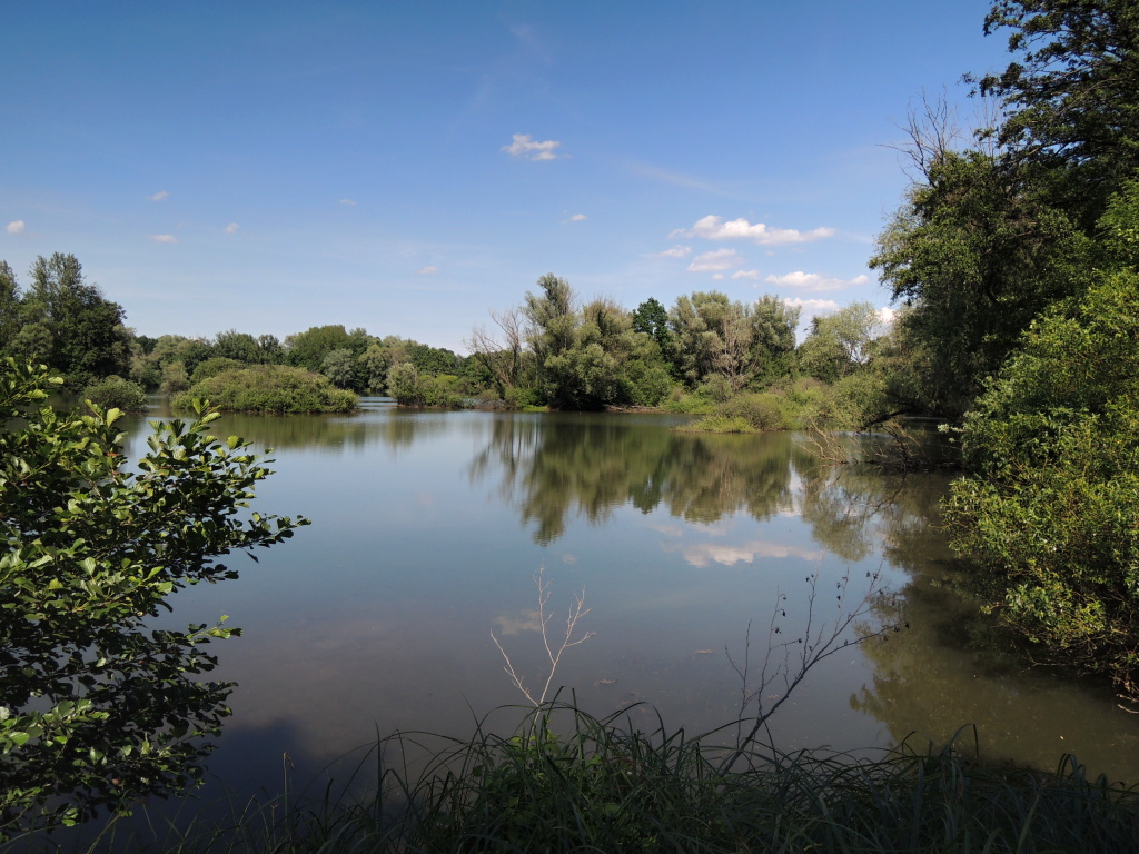 Absolutely perfect place for my summer stalking trips!