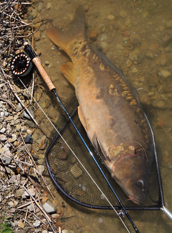 And here it is in all its beauty!