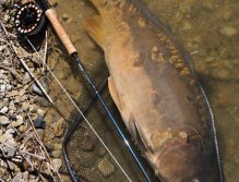 And here it is in all its beauty!