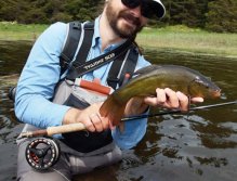 Tinca Tinca on the fly the second time.