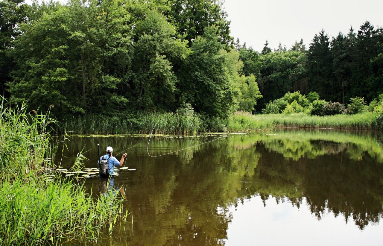 Sometimes is necessary long casting... Sometimes not!