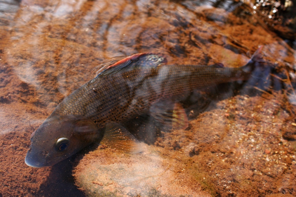 Time to think and to mutual rest.