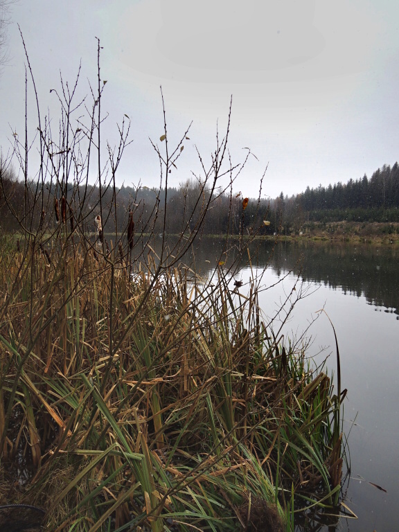 November - The first snowflakes fly over the surface, the air temperature goes down, but the fish are still active!