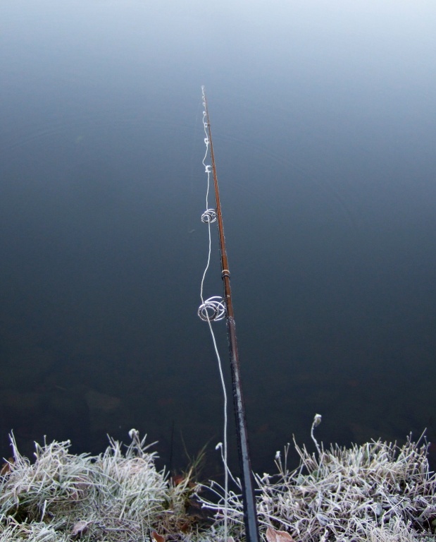 Frosty mornigs are magical, but we do not always appreciate it! Mainly during fishing with frozen fly gear...