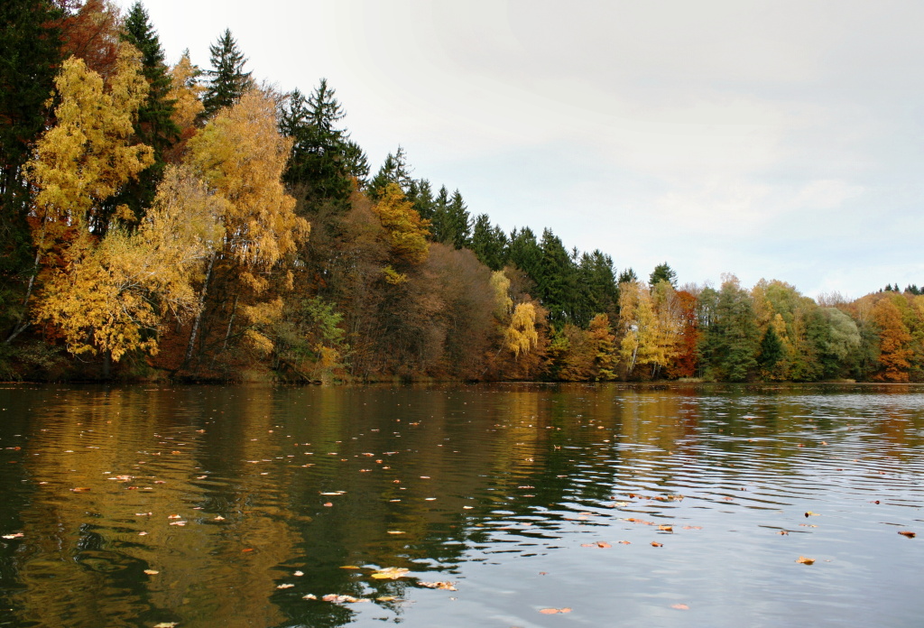 Beauty of colorful October nature is all around.