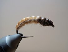 AR Honey Caddis Larva