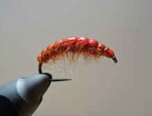 AR Carotene Czech Nymph