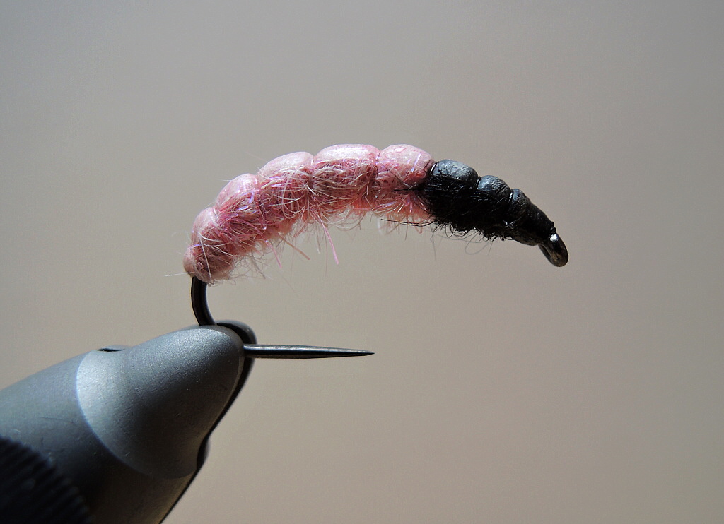AR Light Pink Grayling Candy