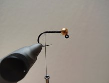 STEP 1 - Head & The Solid Base