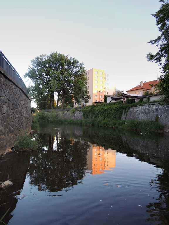 Upstream. Good place for barbell and bigger chub. I'm ready with dark colored wet fly.