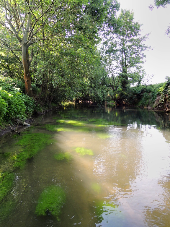 Getting Started! The sun shines sharply from the early morning, but the slightly milky water is a good sign.