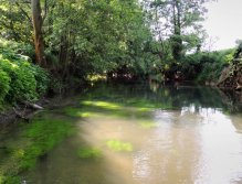 Getting Started! The sun shines sharply from the early morning, but the slightly milky water is a good sign.