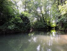 The river is very unpredictable. Shallow currents alternate between deep and mysterious pools. Not to mention the coastal vegetation.