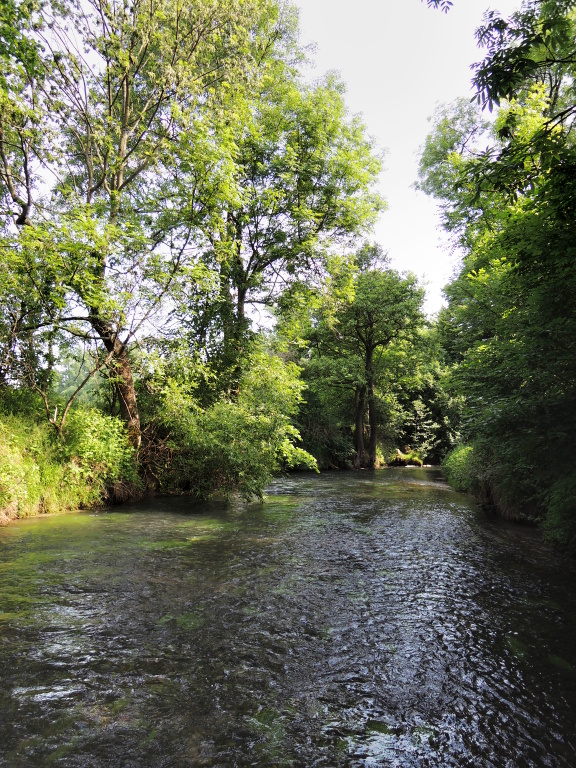 Magical part of the river. Ideal time for my rest here. Only peace of nature and me!