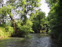 Magical part of the river. Ideal time for my rest here. Only peace of nature and me!