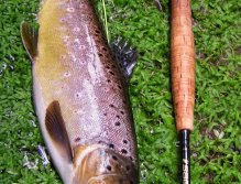 Mohykan from a long pool. Long and exciting fight, quick photo and fast back into the water.