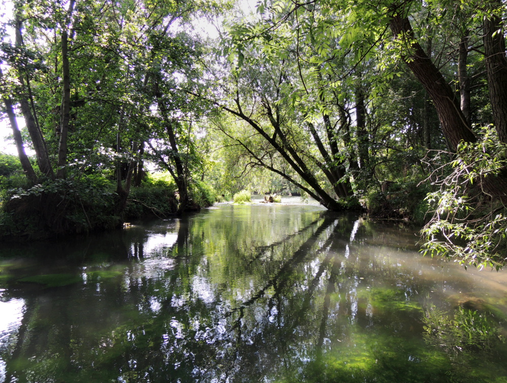 A mysterious pool that never fails and always gives some treasure.