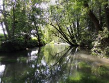 A mysterious pool that never fails and always gives some treasure.