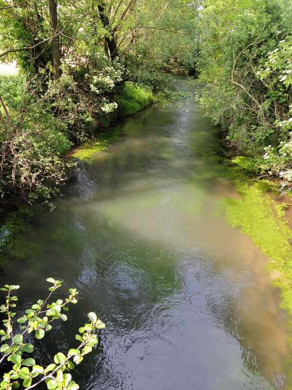 A deeper current in the curve. But there was no fun with fish, unfortunately.