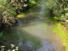 A deeper current in the curve. But there was no fun with fish, unfortunately.