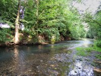 The Mythical Trout Stream Of My Youth - Gallery