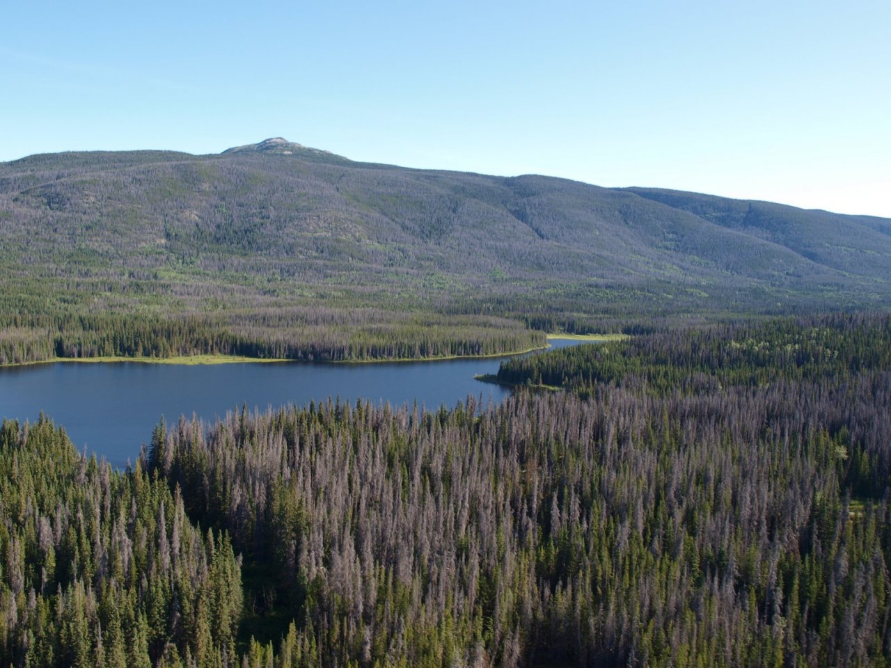 One of many lakes that are available for fly out days