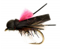 Paul Procter | Fly patterns | CzechNymph.com