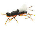Terrestrials | Flies For Fly Fishing | CzechNymph.com