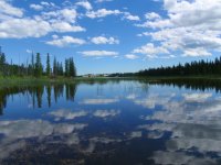 Bow River- Destination