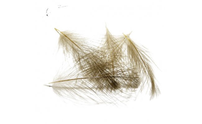 CDC Feathers Tommi-Fly CDC Feathers Tommi-Fly Natural