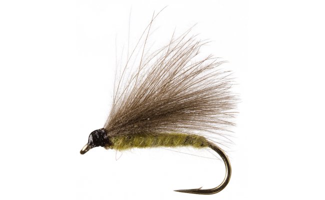 CDC Olive CDC Olive, Size 14