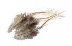 Coq de Leon Feathers Tommi-Fly  Coq de Leon Feathers Tommi-Fly Natural