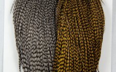 Grizzly Dun/Grizzly Olive