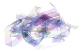 Shellback Hends Shellback Hends Transparent