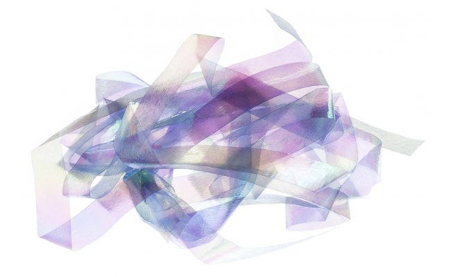 Shellback Hends Shellback Hends Transparent