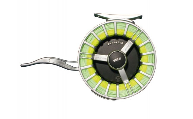 Thinkfish Bold Thinkfish Bold Reel