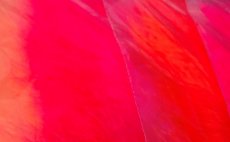 Marabou FlyBox Premium Hot Coral