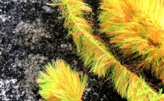 Chenille FlyBox Bi-Colour Fritz - Sunburst Blob