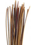 Polish Quills in our eShop